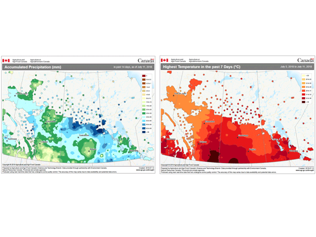 Southern Alberta has had the least amount of rain, along with hottest temperatures during the first two weeks of July. (AAFC graphic)
